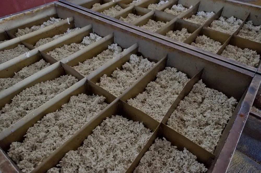 Crumb rubber resting in drying trays